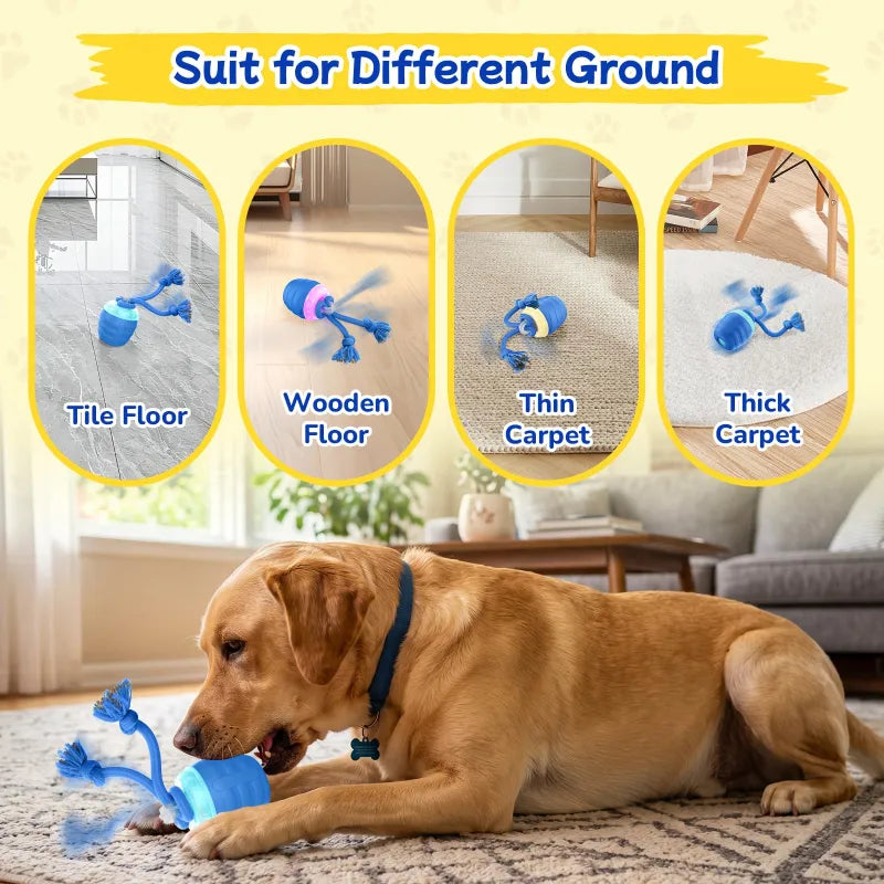 Self-Rolling Dog Ball, Motion Activated with Rope Attachments